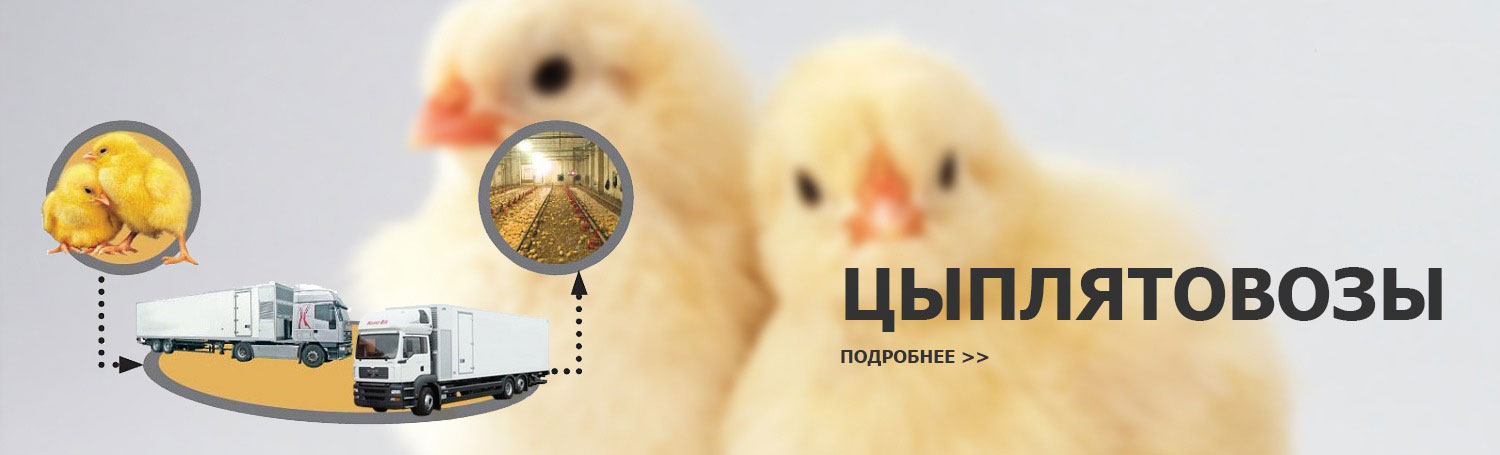 Цыплятовоз